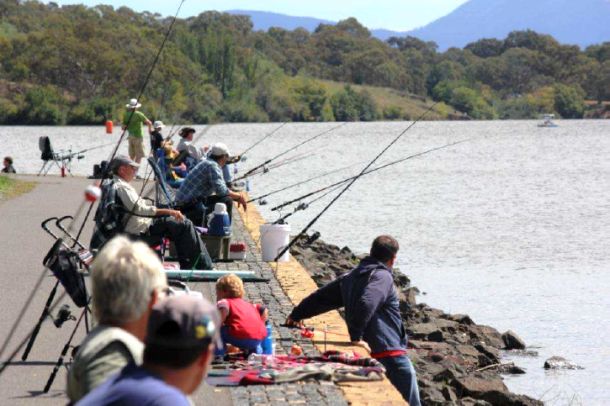 Big haul at Canberra Carp-Out